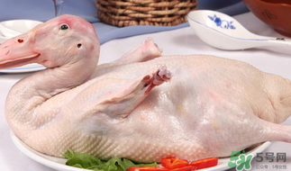 鴨肉可以放冰箱嗎？鴨肉放冰箱能保鮮多久？