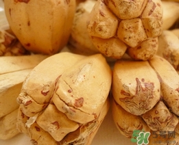 露兜果怎么吃？露兜果的功效作用