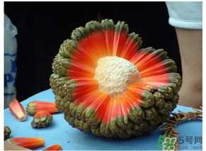 露兜果怎么吃？露兜果的功效作用