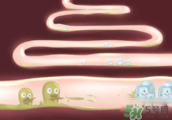 益生菌可以長期吃嗎？益生菌什么時(shí)候吃比較好？