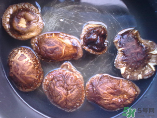干香菇用什么水泡？干香菇用熱水還是冷水泡？