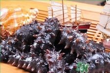 新鮮海參和干海參哪種更好？海參的品種有哪些？
