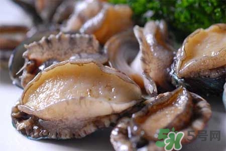 鮑魚(yú)能冷凍嗎？鮑魚(yú)可以放冰箱冷藏嗎？