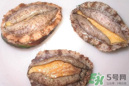 鮑魚(yú)能冷凍嗎？鮑魚(yú)可以放冰箱冷藏嗎？