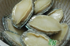 鮑魚死后可以放幾天？鮑魚死后多久不能吃？