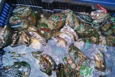 男人吃鮑魚能補(bǔ)腎嗎？腎虛能吃鮑魚嗎？