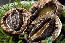 鮑魚吃多了會(huì)上火嗎？鮑魚吃多了會(huì)怎么樣嗎？