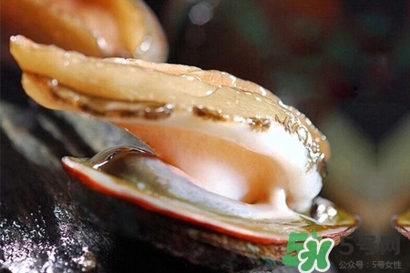 鮑魚一次最多吃幾個？鮑魚吃多了有什么不好的？
