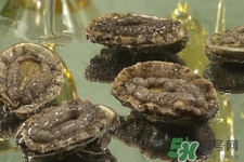 吃鮑魚要注意些什么？吃鮑魚會過敏嗎？