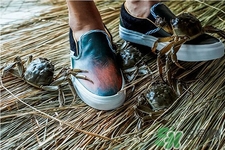 vans與acu合作款鞋子多少錢？vans與acu合作款鞋子價格