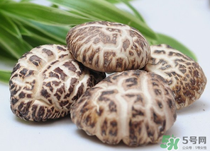 吃香菇有什么好處？吃香菇有什么壞處？