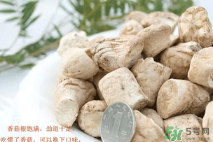 香菇根能吃嗎？香菇的根可以吃嗎？