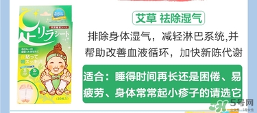 樹之惠足貼5款區(qū)別？樹之惠足貼哪款好用？