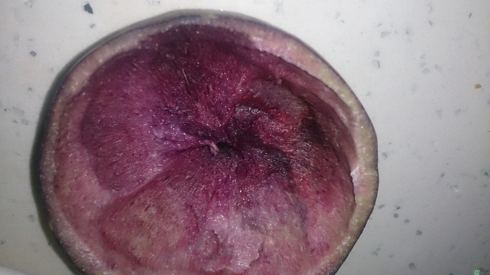 牛奶果怎么吃？牛奶果的功效與作用