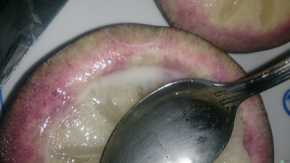 牛奶果怎么吃？牛奶果的功效與作用