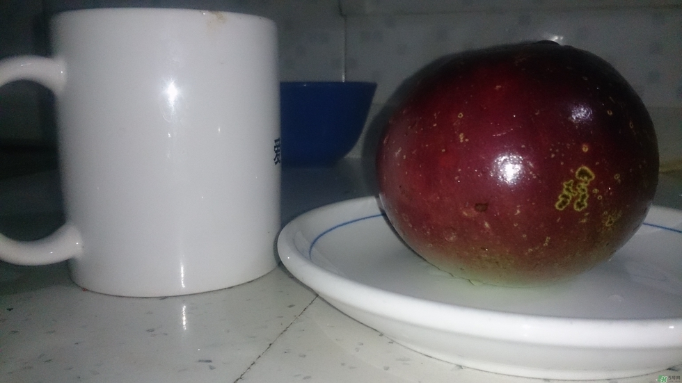 牛奶果怎么吃？牛奶果的功效與作用
