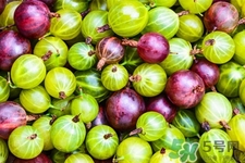 燈籠果一天吃幾個最好？燈籠果什么時候吃最好？