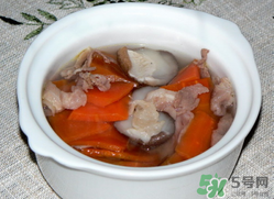 雞肉能和胡蘿卜一起吃嗎？雞肉和蘿卜可以一起吃嗎？