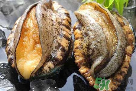 鮑魚什么部位不能吃？吃鮑魚的禁忌