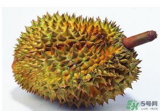 吃完牛肉可以吃榴蓮嗎？牛肉和榴蓮能一起吃嗎？