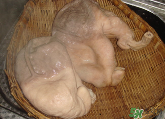 豬大腸怎么清洗？豬大腸怎么去臭味？