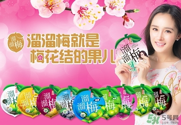 溜溜梅是梅花結(jié)的果嗎？溜溜梅的功效作用