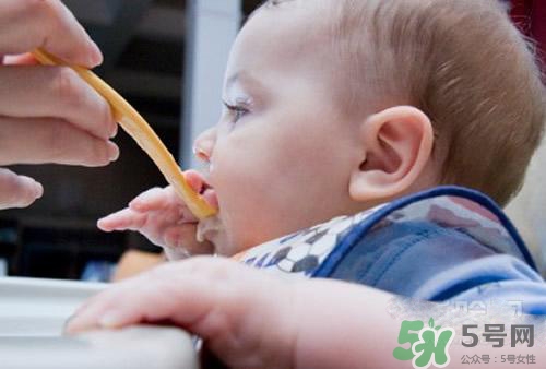6個月的寶寶可以吃肉泥嗎？寶寶幾個月可以吃肉泥？