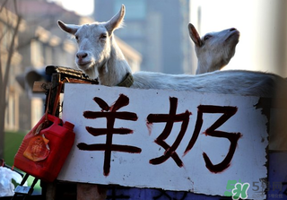 鮮羊奶怎么保存？鮮羊奶放冰箱能放多久？