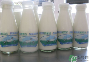 鮮羊奶可以直接喝嗎？鮮羊奶怎么喝最好？