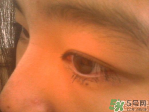 菲詩(shī)小鋪睫毛膏怎么樣？the face shop睫毛膏好用嗎？