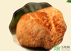 猴頭菇怎么吃？猴頭菇的功效與作用
