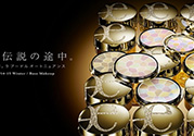 e大餅色號怎么選？elegance蜜粉色號試色