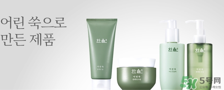 韓律艾草洗面奶多少錢？韓律艾草洗面奶專柜價(jià)格