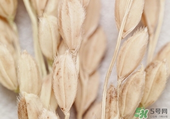 韓律適合什么膚質(zhì)？韓律適合敏感肌膚嗎？