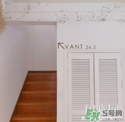 vant氣墊粉底霜怎么樣？vant36.5粉霜粉膏好用嗎？
