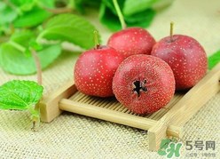 新鮮山楂什么時候上市？新鮮山楂什么時候成熟？