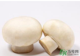 口菇變黑還能吃嗎？口菇的營(yíng)養(yǎng)價(jià)值