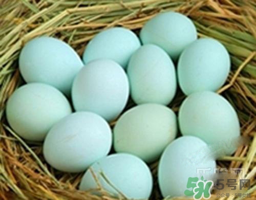 綠皮雞蛋是怎么回事？綠皮雞蛋的營養(yǎng)價值