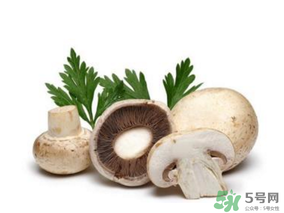 草菇怎么保存？新鮮草菇怎么保存？