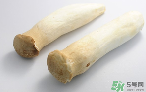 雞腿菇長白毛能吃嗎？雞腿菇怎么做好吃？