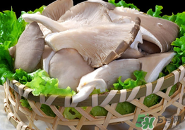 蘑菇可以放冰箱嗎？蘑菇放冰箱長(zhǎng)毛了能吃嘛？
