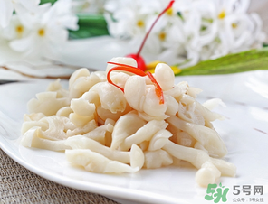 白玉菇孕婦能吃嗎？孕婦可以吃白玉菇嗎？
