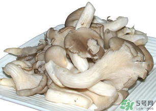 平菇怎么保存？平菇能放幾天？