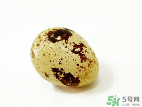 鵪鶉蛋不能和什么一起吃？鵪鶉蛋不能與什么同食？