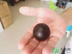 羊?qū)毷鞘裁矗垦驅(qū)殲槭裁催@么貴？