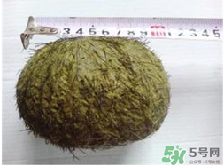 羊?qū)毷鞘裁?？羊?qū)殲槭裁催@么貴？