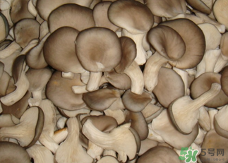 吃平菇有什么好處？平菇怎么做好吃？
