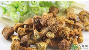 巴西蘑菇怎么吃？巴西蘑菇的作用與功效