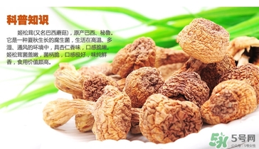 巴西蘑菇怎么吃？巴西蘑菇的作用與功效