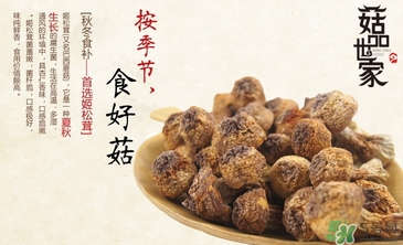 巴西蘑菇怎么吃？巴西蘑菇的作用與功效